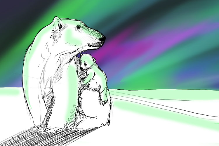 The first time she saw the aurora (also known as the Northern Lights), the baby polar bear was so frightened she clung tightly to her mum.